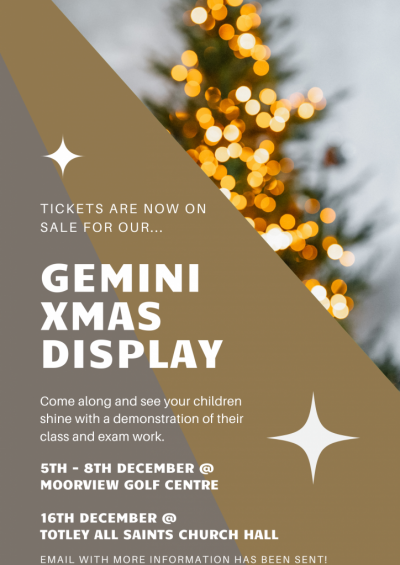 Gemini Christmas Display